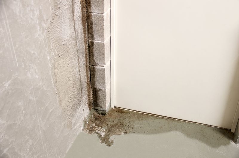 Wet Basement Solutions